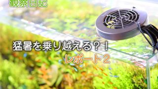 Thumbnail of post image 125